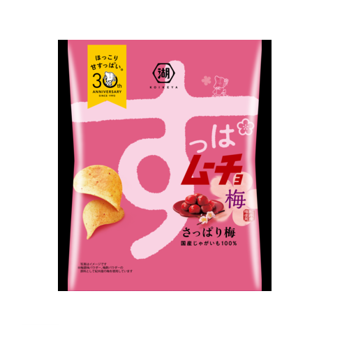 スティックスッパムーチョ　さっぱり梅味　ｽﾘﾑﾊﾞｯｸﾞ
